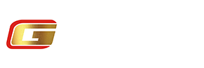 新奥2025资料大全最新版本